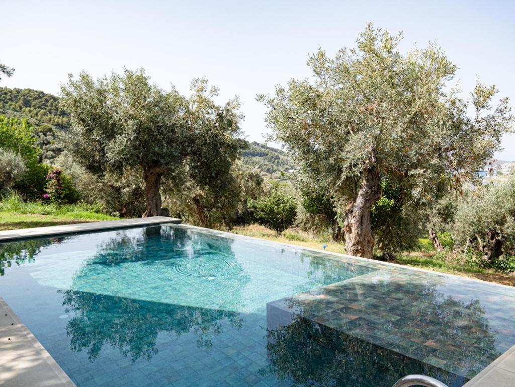 Dohos Skiathos Suites Ksanemos Ngoại thất bức ảnh